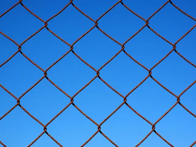 Mesh-WLAN